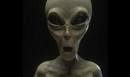 外星人在线观看,揭秘外星人在线观看之旅